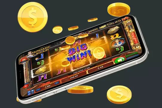 244bet