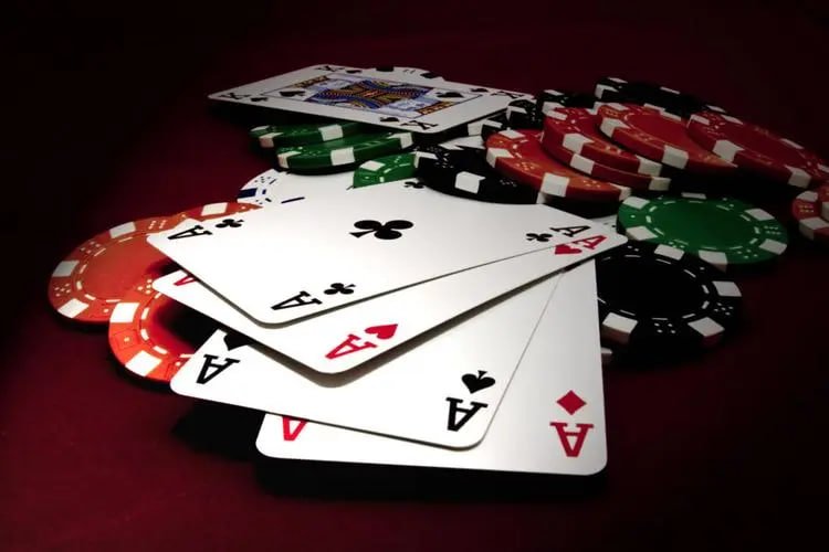 244bet